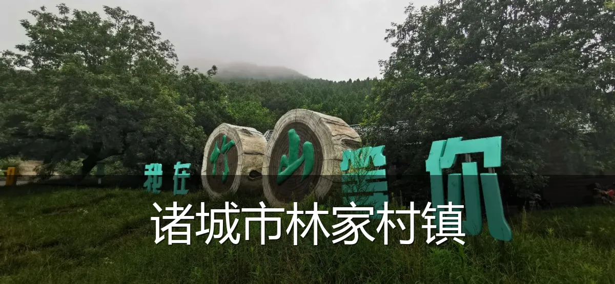 诸城市林家村镇